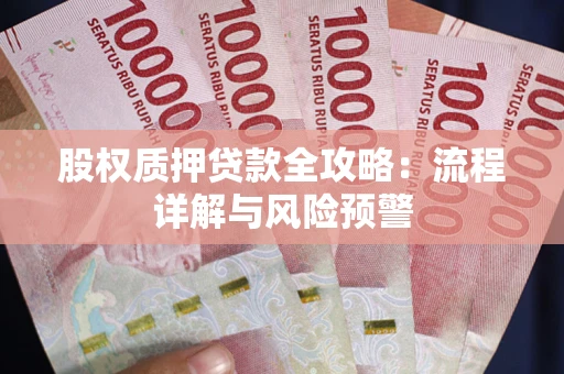 北京股权质押贷款全攻略：流程详解与风险预警