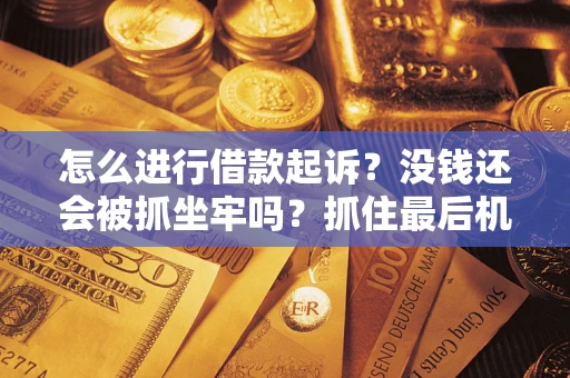北京怎么进行借款起诉？没钱还会被抓坐牢吗？抓住最后机会！