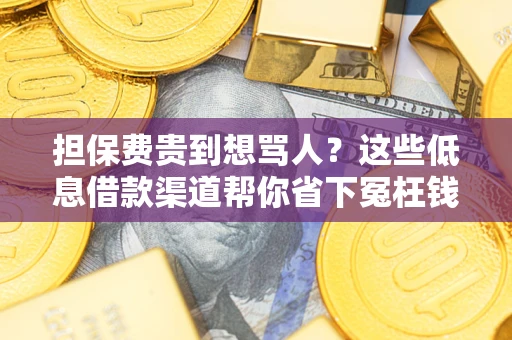 北京担保费贵到想骂人？这些低息借款渠道帮你省下冤枉钱