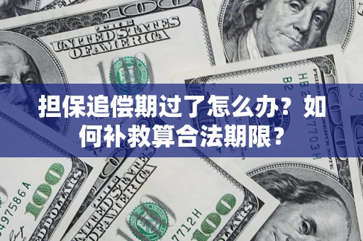 北京担保追偿期过了怎么办？如何补救算合法期限？
